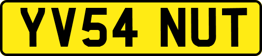 YV54NUT