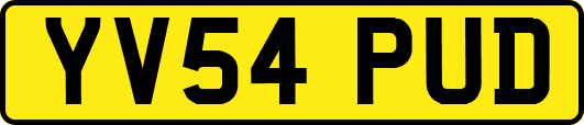 YV54PUD