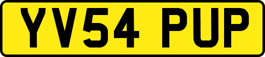 YV54PUP