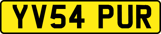 YV54PUR