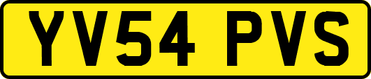 YV54PVS