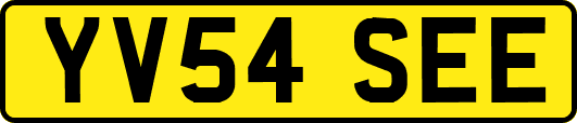 YV54SEE