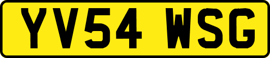 YV54WSG