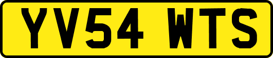 YV54WTS