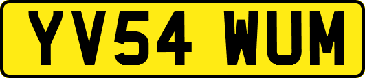 YV54WUM