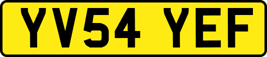 YV54YEF