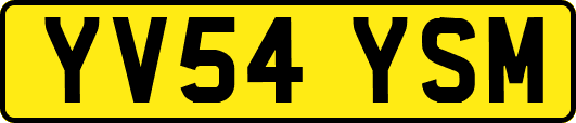 YV54YSM