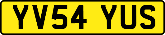 YV54YUS