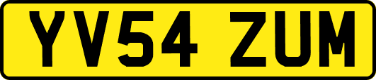 YV54ZUM