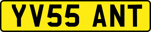 YV55ANT