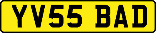 YV55BAD