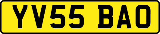 YV55BAO