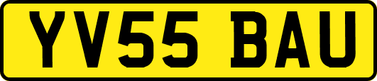 YV55BAU