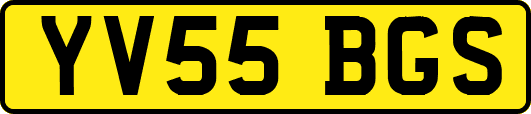 YV55BGS