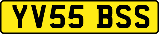 YV55BSS
