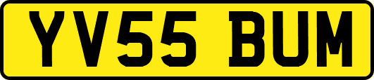 YV55BUM