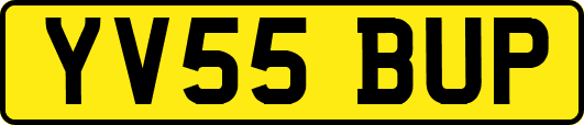 YV55BUP