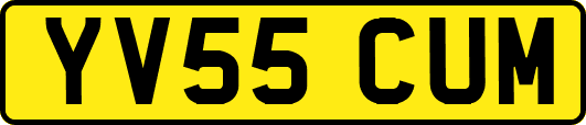 YV55CUM