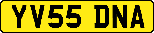 YV55DNA