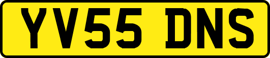 YV55DNS