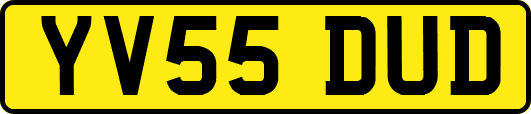 YV55DUD