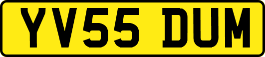 YV55DUM