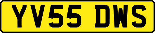 YV55DWS