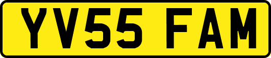 YV55FAM