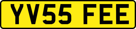 YV55FEE