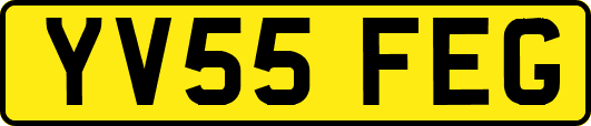 YV55FEG