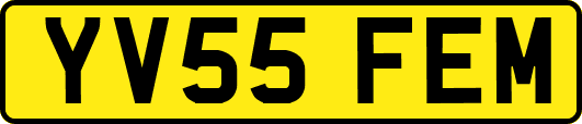 YV55FEM