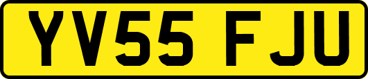YV55FJU