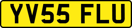 YV55FLU