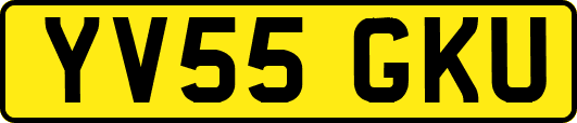 YV55GKU
