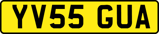 YV55GUA