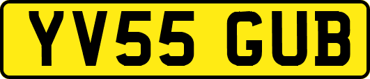 YV55GUB
