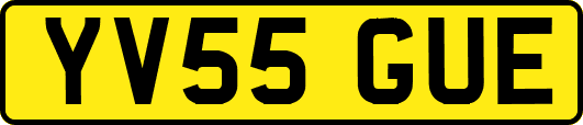 YV55GUE