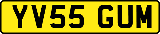 YV55GUM