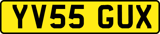 YV55GUX