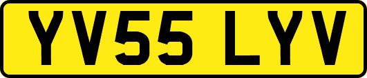 YV55LYV