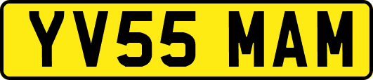 YV55MAM