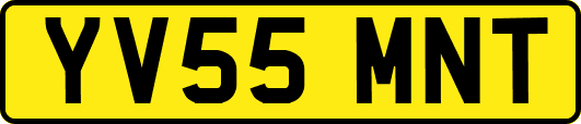 YV55MNT