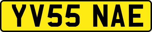 YV55NAE