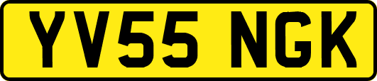 YV55NGK