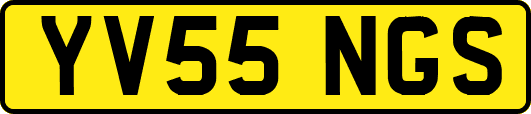 YV55NGS