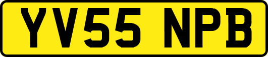 YV55NPB