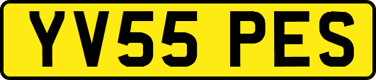 YV55PES