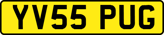 YV55PUG