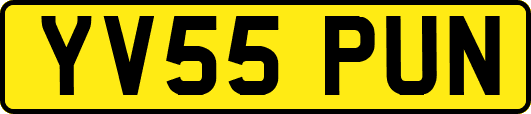 YV55PUN