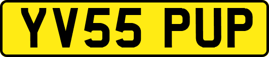 YV55PUP